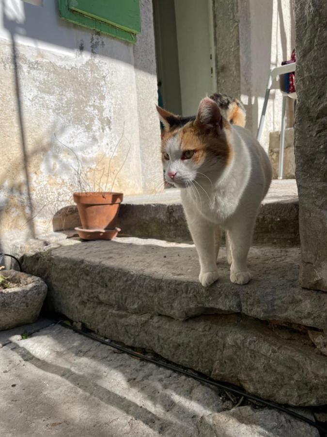 Maja Stone House Villa Kornić Buitenkant foto